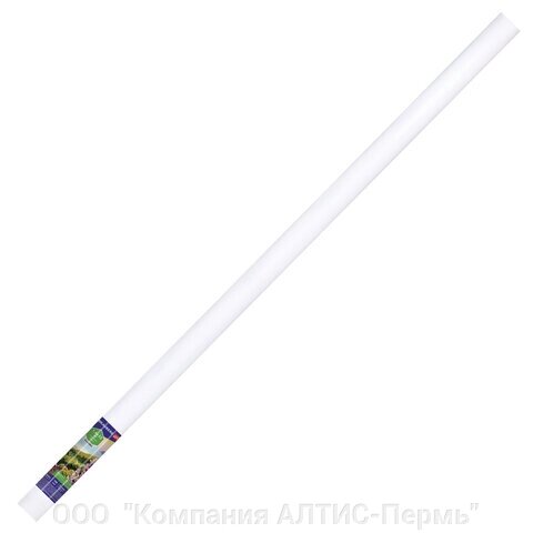 Холст в рулоне BRAUBERG ART CLASSIC, 1,6x10 м, грунт., 380 г/м2, 100% хлопок, среднее зерно, 191032 от компании ООО  "Компания АЛТИС-Пермь" - фото 1