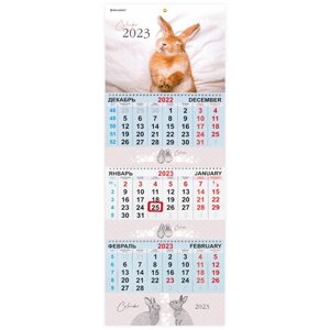 Календарь квартальный на 2023 г., 3 блока, 3 гребня, с бегунком, мелованная бумага, BUNNY, BRAUBERG, 114247