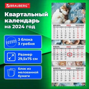 Календарь квартальный на 2024 г., 3 блока, 3 гребня, с бегунком, мелованная бумага, EXTRA, BRAUBERG, Sleepy cat, 115303