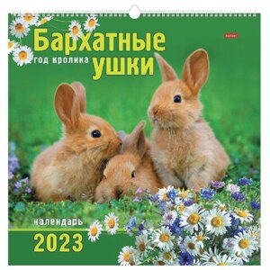 Календарь на гребне с ригелем, 2023 г., 45х45 см, КАРЕ, Бархатные ушки, HATBER, 12Кнп3гр_27151