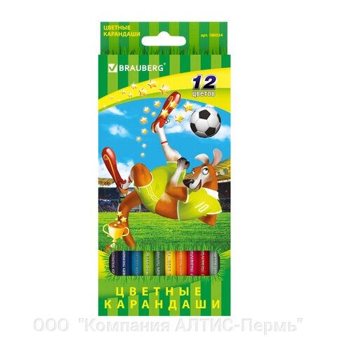 Карандаши цветные BRAUBERG Football match, 12 цветов, заточенные, картонная упаковка, 180534 от компании ООО  "Компания АЛТИС-Пермь" - фото 1