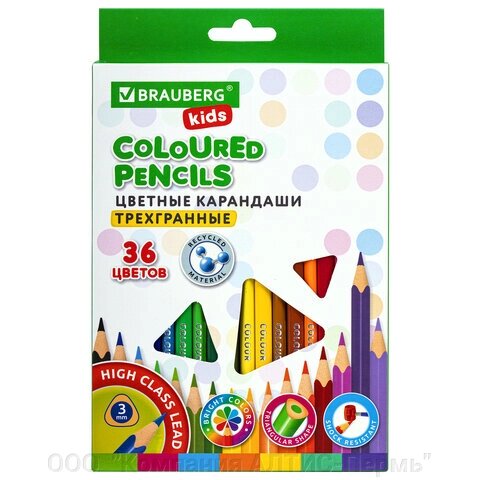 Карандаши цветные BRAUBERG KIDS, 36 цветов, трехгранный корпус, грифель мягкий 3 мм, 181945 от компании ООО  "Компания АЛТИС-Пермь" - фото 1