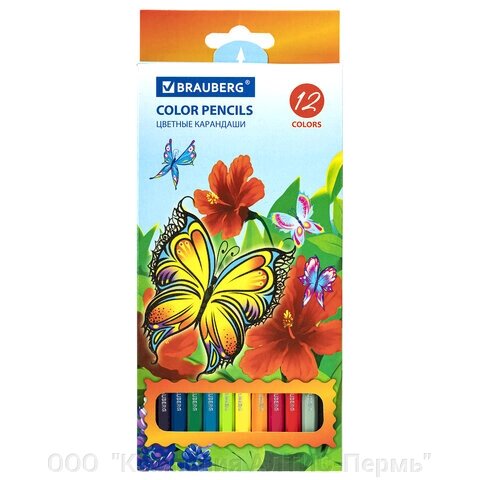 Карандаши цветные BRAUBERG Wonderful butterfly, 12 цветов, заточенные, картонная упаковка с блестками, 180535 от компании ООО  "Компания АЛТИС-Пермь" - фото 1