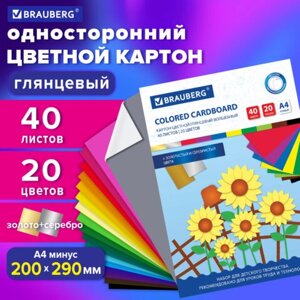 Картон цветной а4 мелованный волшебный EXTRA, 40 листов, 20 цветов, в папке, brauberg, 200х290 мм, 113545