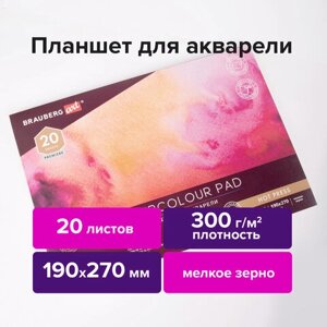 Папка для акварели/планшет, 300 г/м2, 190х270 мм, склейка, мелкое зерно, 20 л., BRAUBERG ART PREMIERE, 113246