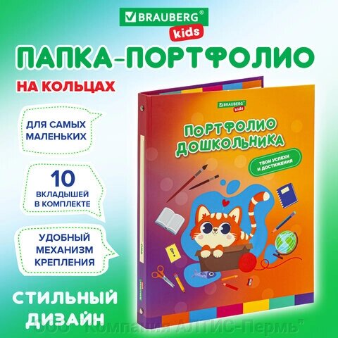 Папка-портфолио дошкольника КОШЕЧКА, 4 кольца, 20 файлов, 10 вкладышей, 7БЦ матовая, BRAUBERG KIDS, 115237 от компании ООО  "Компания АЛТИС-Пермь" - фото 1