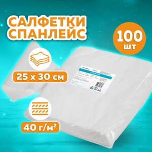 Салфетка одноразовая белая 25х30 см, КОМПЛЕКТ 100 шт., спанлейс, 40 г/м2, ЧИСТОВЬЕ