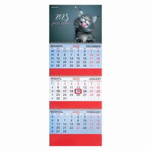 Календарь квартальный на 2023 г., 3 блока, 3 гребня, с бегунком, офсет, MEOW, BRAUBERG, 114224
