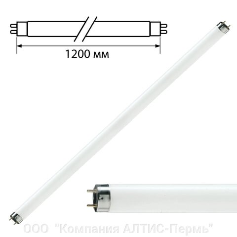 Лампа люминесцентная PHILIPS TL-D 36W/33-640, 36 Вт, цоколь G13, в виде трубки 120 см - опт
