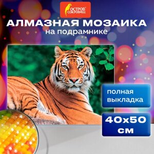 Картина стразами (алмазная мозаика) 40х50 см, ОСТРОВ СОКРОВИЩ Тигр, на подрамнике, 662427