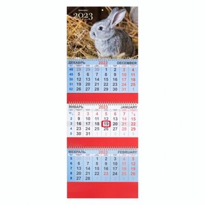 Календарь квартальный на 2023 г., 3 блока, 3 гребня, с бегунком, офсет, FUNNY BUNNY, BRAUBERG, 114223