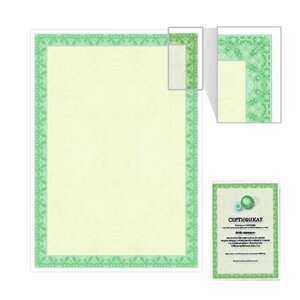 Сертификат-бумага для лазерной печати BRAUBERG, А4, 25 листов, 115 г/м2, Зеленый интенсив, 122623