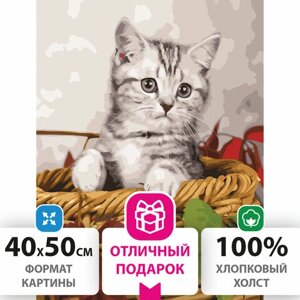 Картина по номерам 40х50 см, ОСТРОВ СОКРОВИЩ Котёнок, на подрамнике, акриловые краски, 3 кисти, 662468