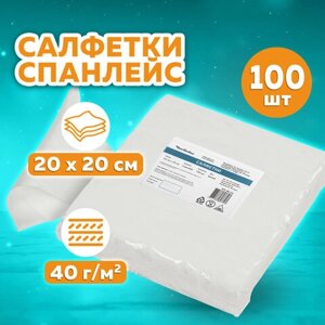 Салфетка одноразовая белая 20х20 см, КОМПЛЕКТ 100 шт., спанлейс, 40 г/м2, ЧИСТОВЬЕ