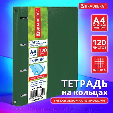 Тетрадь на кольцах БОЛЬШАЯ А4 (240х310 мм), 120 листов, под кожу, клетка, BRAUBERG Joy, зелёный/светло-зелёный, 404508 от компании ООО  "Компания АЛТИС-Пермь" - фото 1