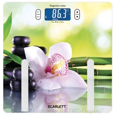 Весы напольные SCARLETT SC-BS33ED10, электронные, вес до 180 кг, квадрат, стекло, с рисунком от компании ООО  "Компания АЛТИС-Пермь" - фото 1