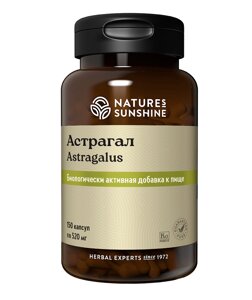 Астрагал НСП / Astragalus NSP