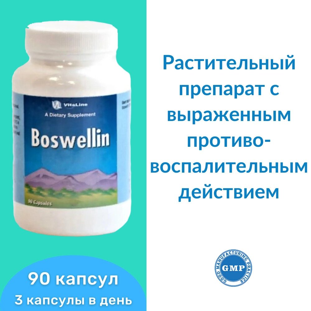 Босвелин / Boswetiin 90 капс. 400 мг от компании «Vitawel» - фото 1
