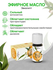 Эфирное масло Эвкалипт / Eucalyptus 10 мл