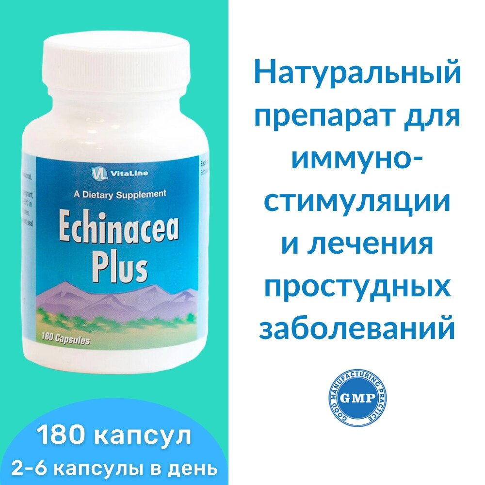 Эхинацея Плюс / Echinacea Plus 180 капс. 90 мг от компании «TopVit» - фото 1