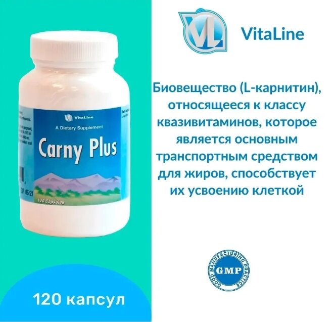 Карни-Плас (L-Карнитин) Carny Plus 120 капс. 100 мг от компании «TopVit» - фото 1