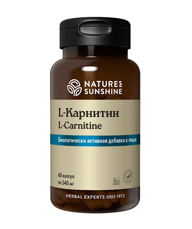 L-карнитин НСП /  L-carnitine NSP 60 капс. от компании «Vitawel» - фото 1