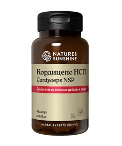 Кордицепс НСП / Cordyceps NSP 90 капс. в Москве от компании «Vitawel»