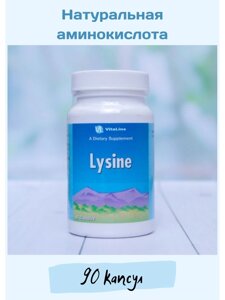 Лизин / L-Lysine 90 капс. 500 мг в Москве от компании «Vitawel»