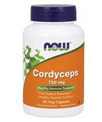 Кордицепс / Cordyceps 90 капс. в Москве от компании «Vitawel»