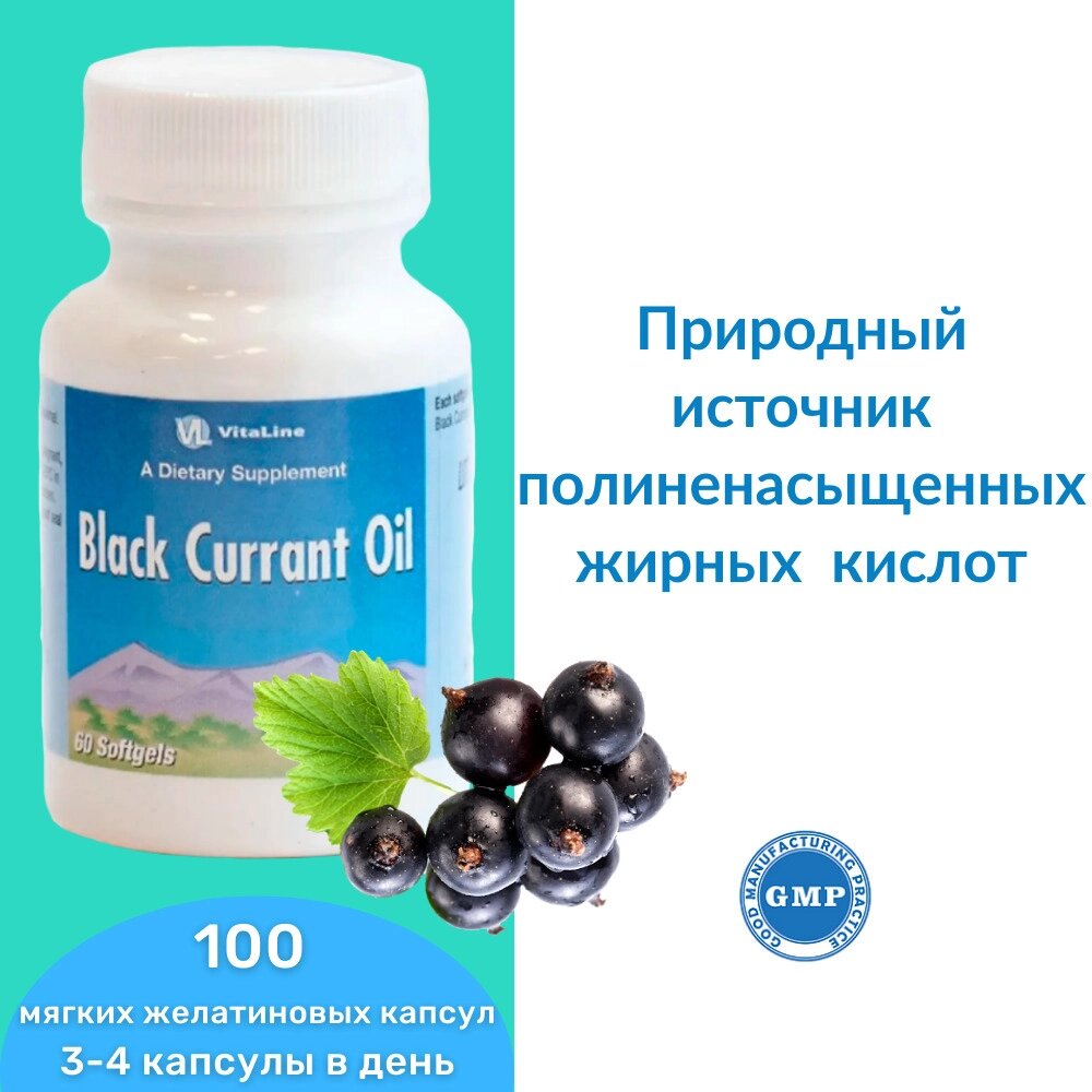 Масло черной смородины / Black Currant Oil 60 капс. 500 мг - Россия
