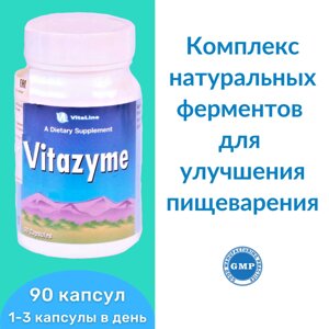 Витазим / Viiazyme 90 капс. 500 мг в Москве от компании «Vitawel»