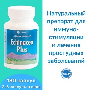 Эхинацея Плюс / Echinacea Plus 180 капс. 90 мг в Москве от компании «Vitawel»
