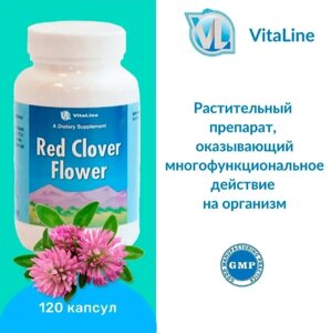 Цветки красного клевера / Red cloverflower 120 капс. в Москве от компании «Vitawel»