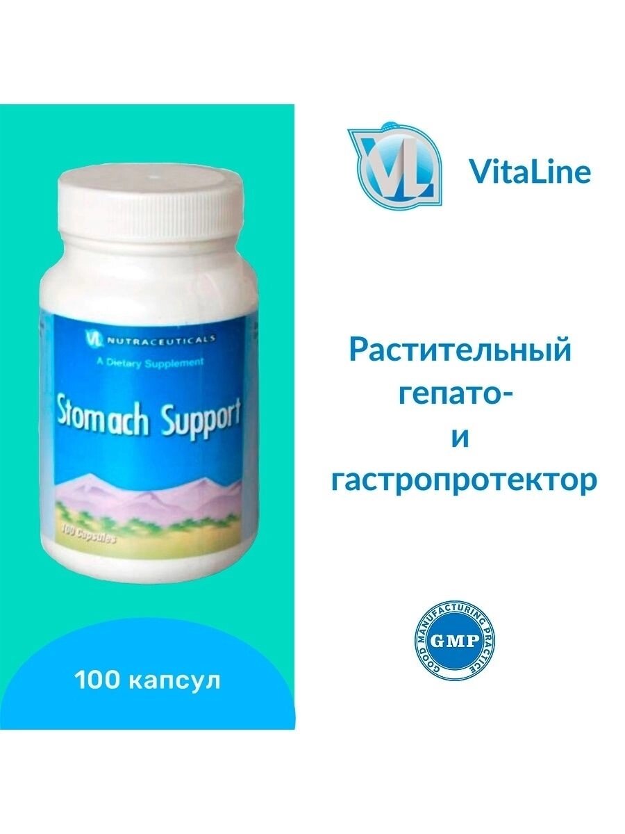 Стомак суппорт / Stomach support 100 капс. 500 мг от компании «Vitawel» - фото 1