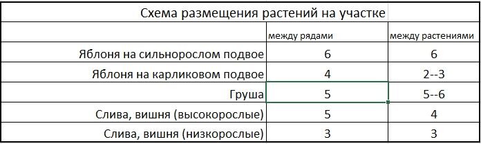 Схема размещения растений на участке