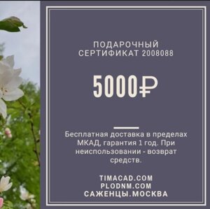 Сертификат подарочный 5000р