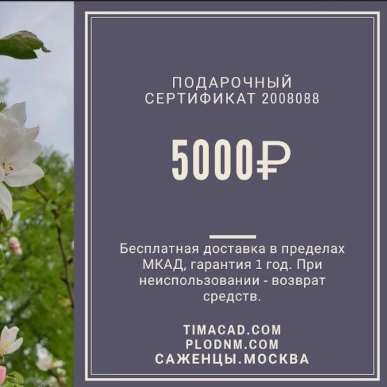 Сертификат подарочный 5000р от компании Саженцы в Москве - фото 1