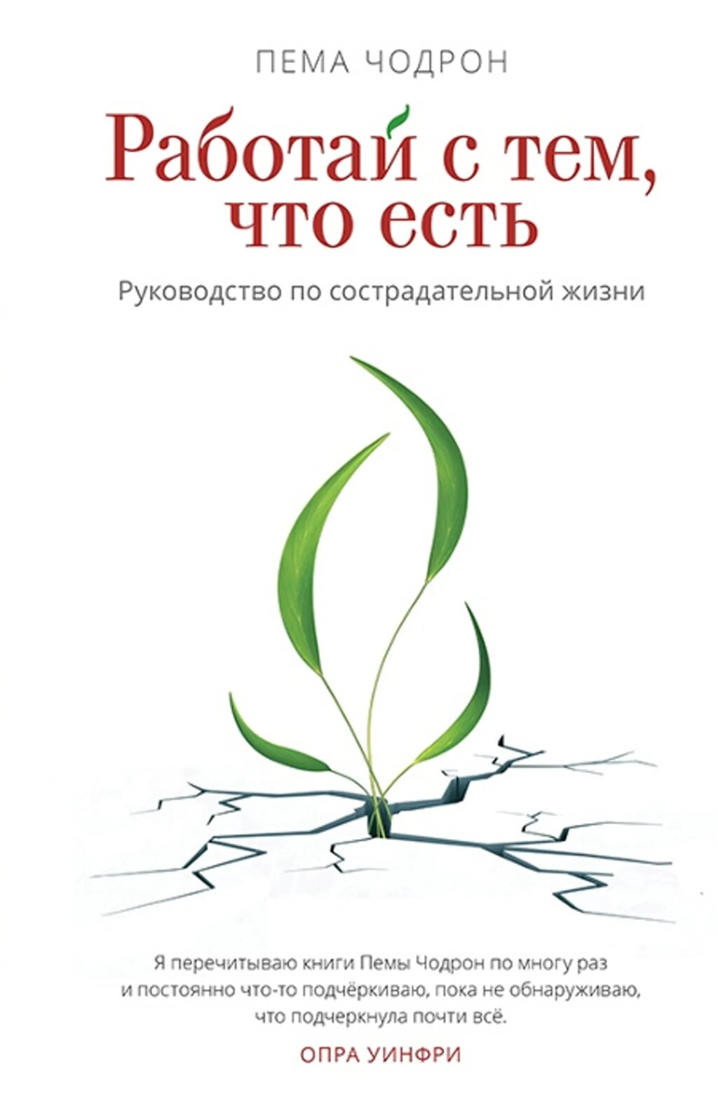 Пема Чодрон. Работай с тем, что есть. Руководство по сострадательной жизни от компании Интернет-магазин "Арьяварта" - фото 1