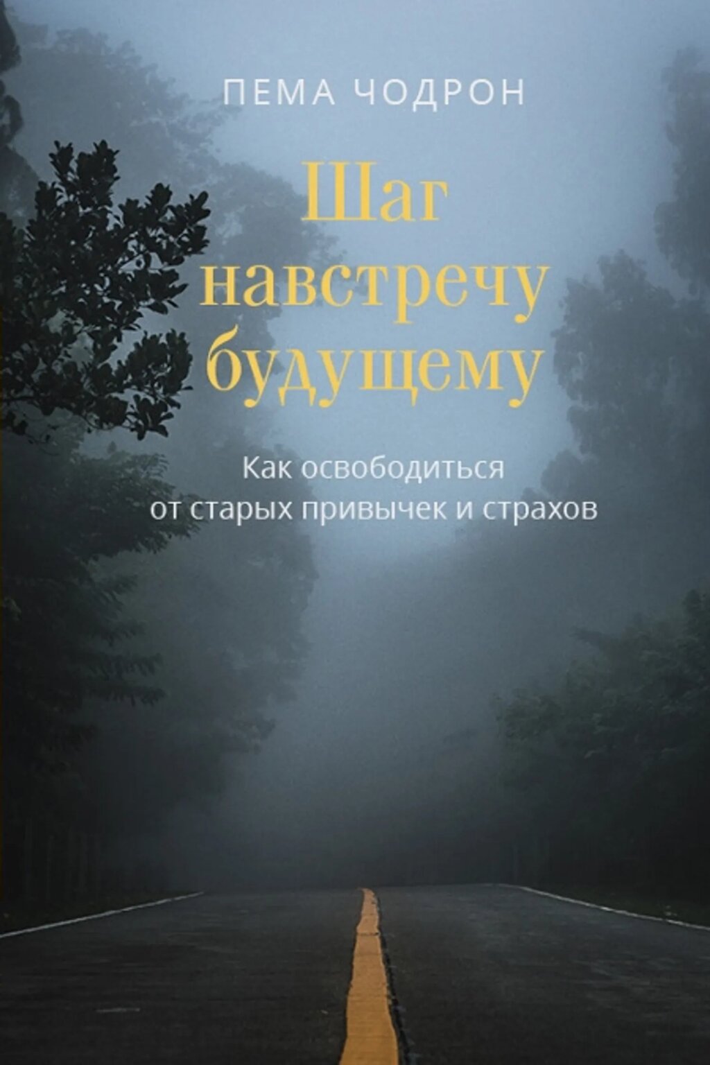 Пема Чодрон. Шаг навстречу будущему. Как освободиться от старых привычек и страхов от компании Интернет-магазин "Арьяварта" - фото 1