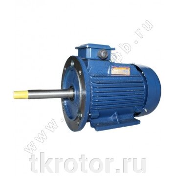 Электродвигатель АИР 100 L2 Ж 5.5 кВт 3000 об/мин от компании Интернет-магазин "Ротор" - фото 1