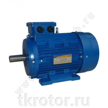 Электродвигатель АИР 100 L25 5.5 кВт 3000 об/мин от компании Интернет-магазин "Ротор" - фото 1
