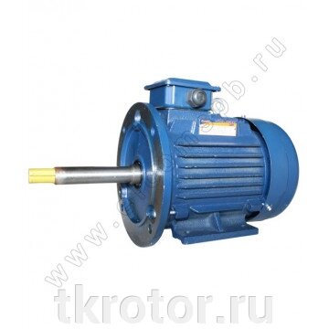 Электродвигатель АИР 100 S2 Ж 4 кВт 3000 об/мин от компании Интернет-магазин "Ротор" - фото 1