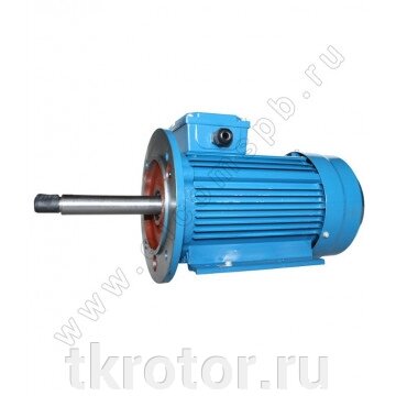 Электродвигатель АИР 80 В2 Ж 2.2 кВт 3000 об/мин от компании Интернет-магазин "Ротор" - фото 1