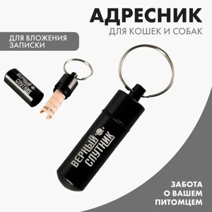 Адресник «Верный спутник» для вложения записки, капсула 5.2х1.4 см