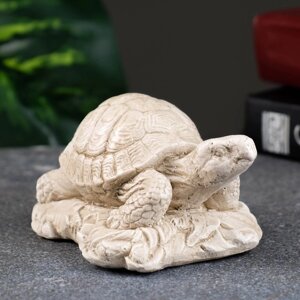 Фигура "Черепаха на камне" слоновая кость, 8х7х6см