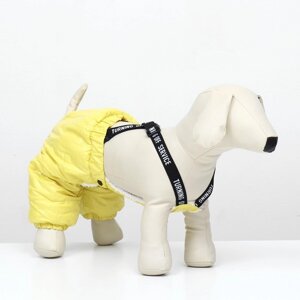 Комбинезон-штаны для собак, размер XL (ДС 44, ОТ 48 см), жёлтый