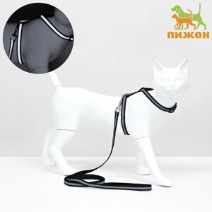 Комплект для кошек светоотражающий, ширина 1 см, шлейка 21-35 см, поводок 120 см, чёрный