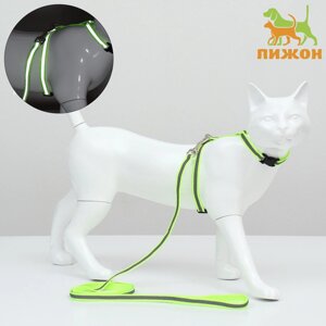 Комплект для кошек светоотражающий, ширина 1 см, шлейка 21-35 см, поводок 120 см, зелёный