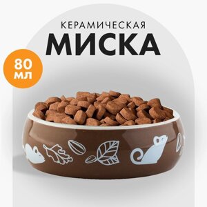 Миска керамическая «Вкусняшки», 80 мл, для грызунов