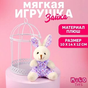 Мягкая игрушка «Прекрасная зайка», зайчик, цвета МИКС